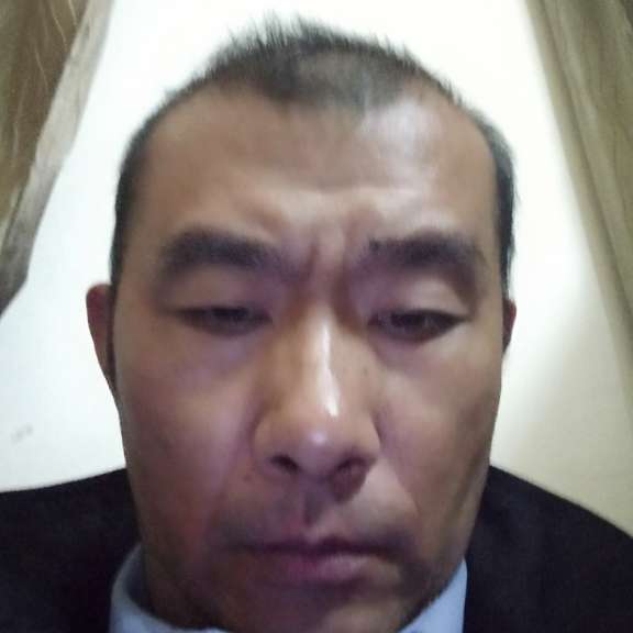 沙漠里的苍狼的照片