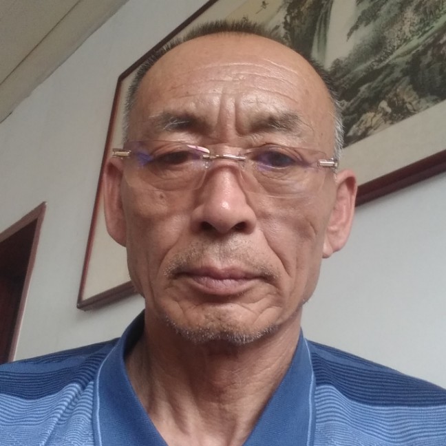 翅膀儒雅的照片