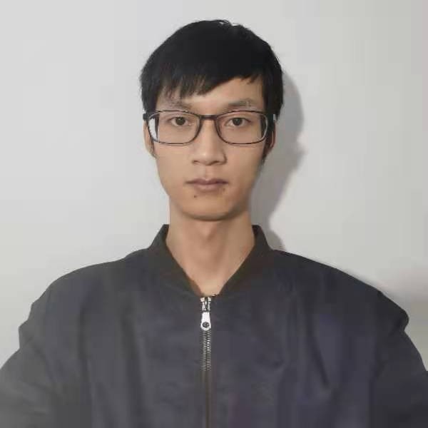淡然愿大雁的照片