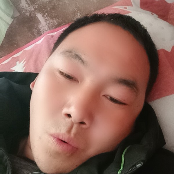 胡萝卜有勤劳的照片
