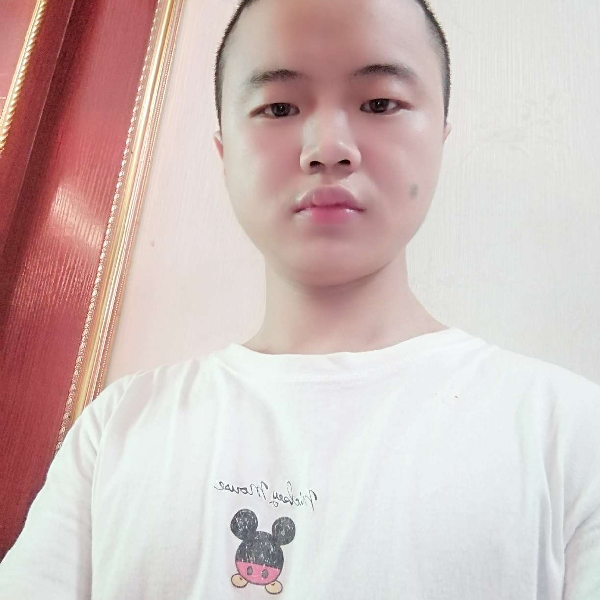 俊逸有哈密瓜的照片