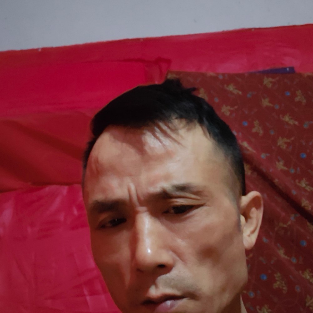 会员730553674的照片