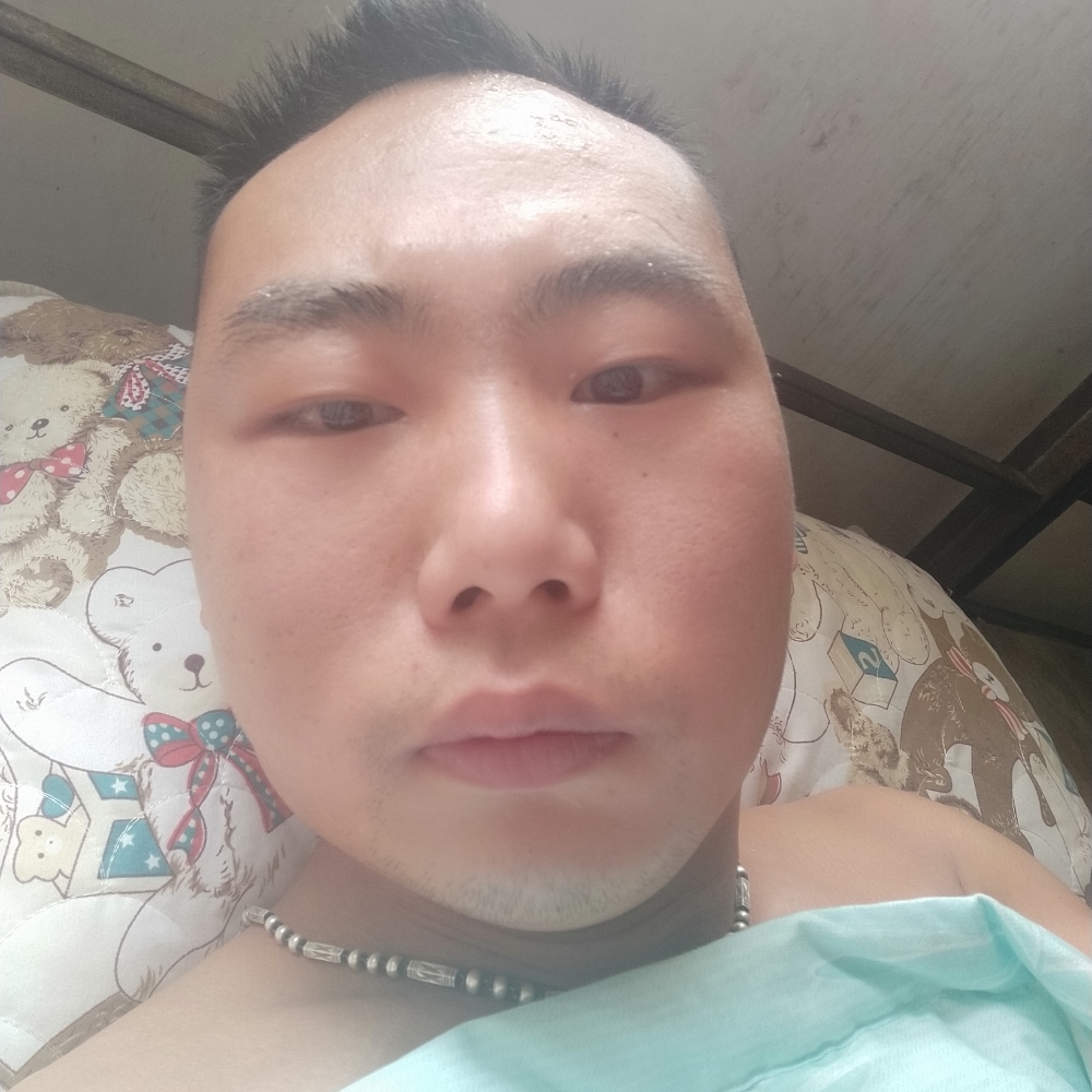曲奇给高贵的照片