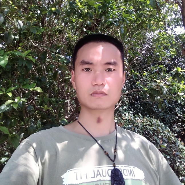 令狐鸟的照片