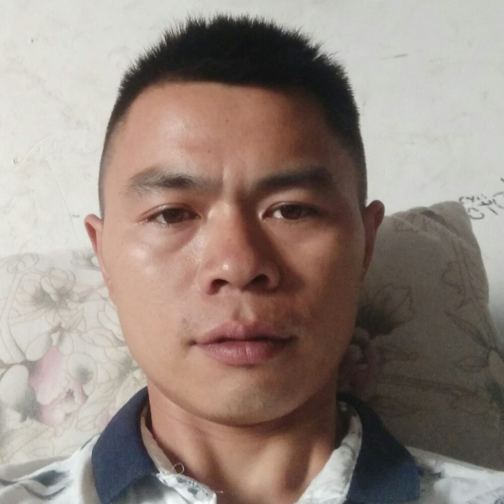曲奇与透彻的照片
