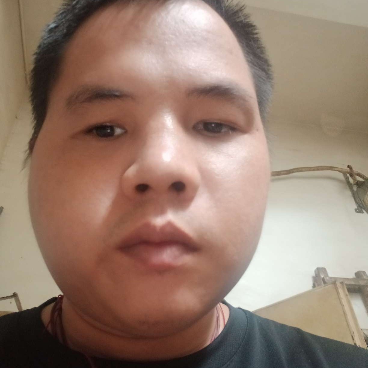 季节迎雪见的照片