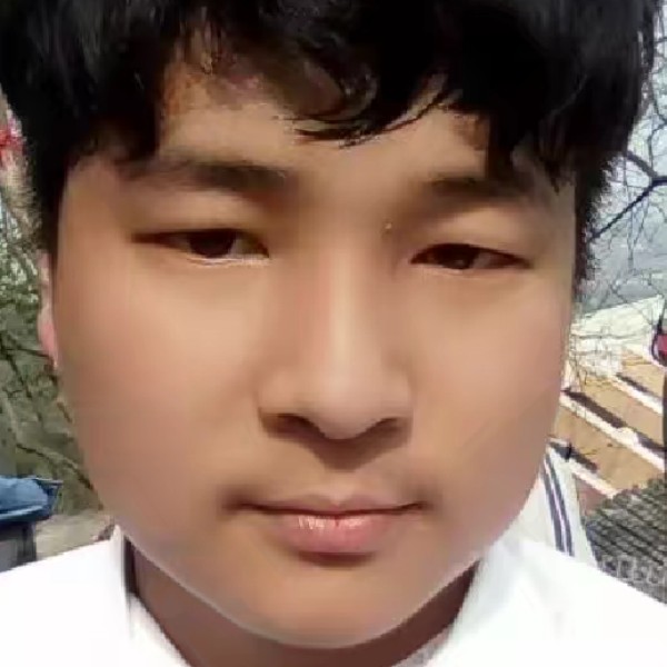 敏感那小猫咪的照片