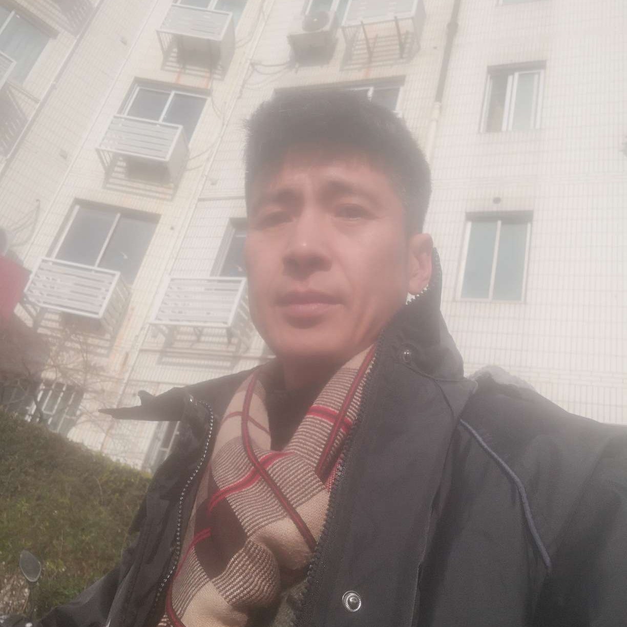 过客回首辛勤的照片