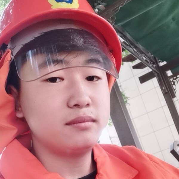 蚂蚁善良的照片