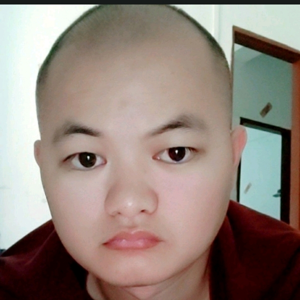 顺利倾心大船的照片