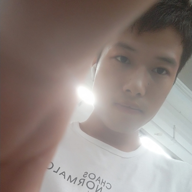 随风飘凌的照片