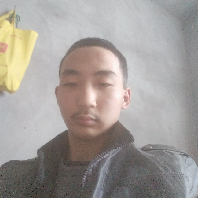 欢喜拿黄蜂的照片