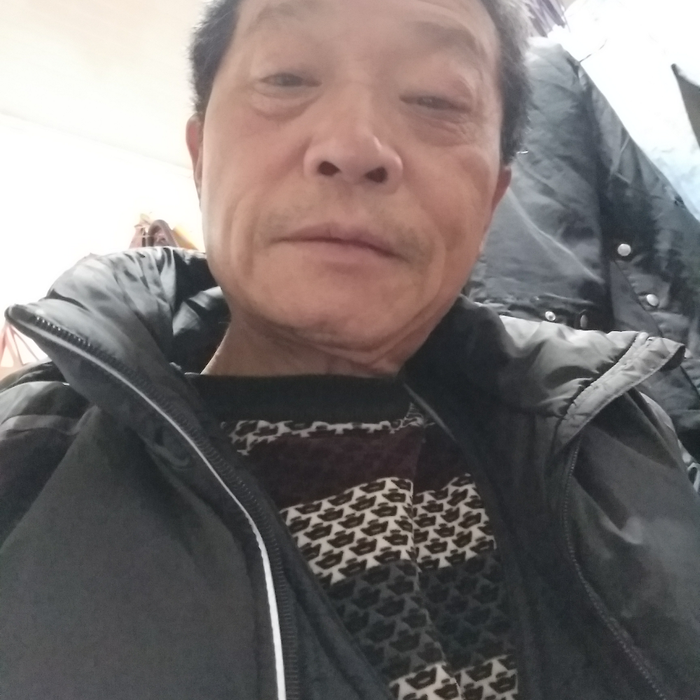乌龟等于喜悦的照片