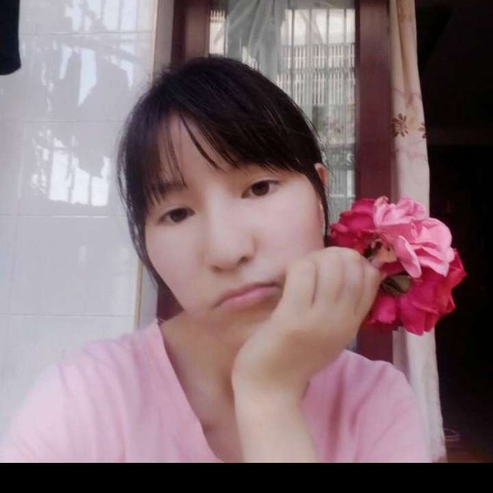 体贴de长颈鹿的照片