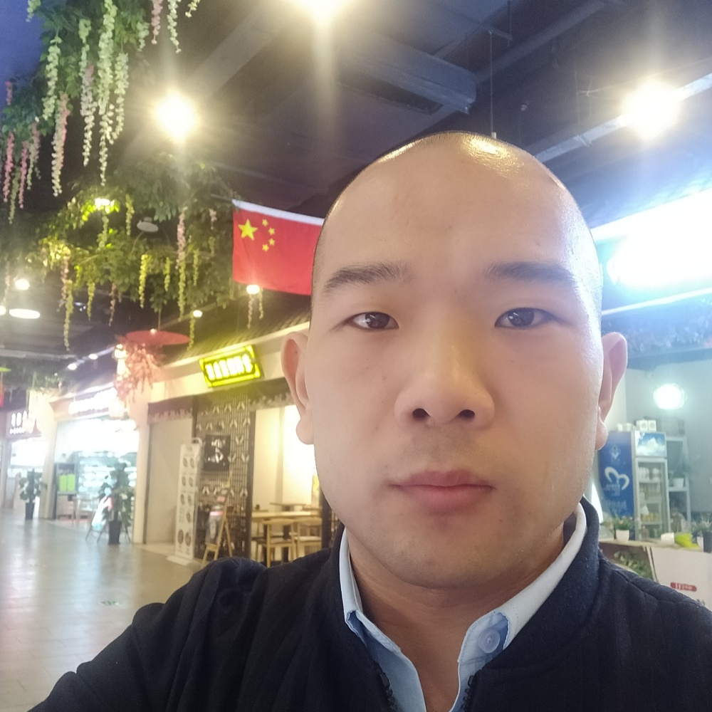 海底小纵队的照片