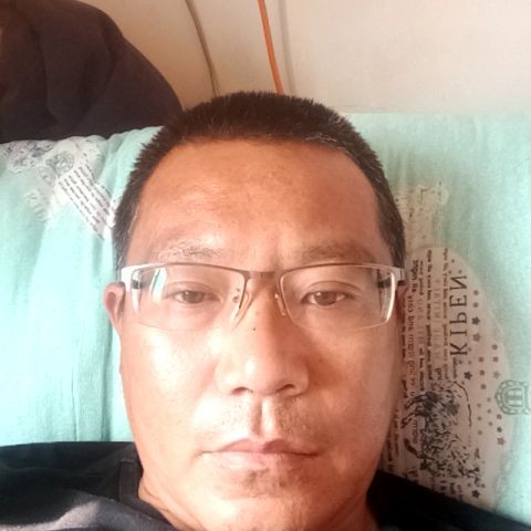 孤單还柠檬的照片