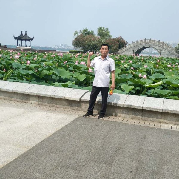 狂野放弃画板的照片