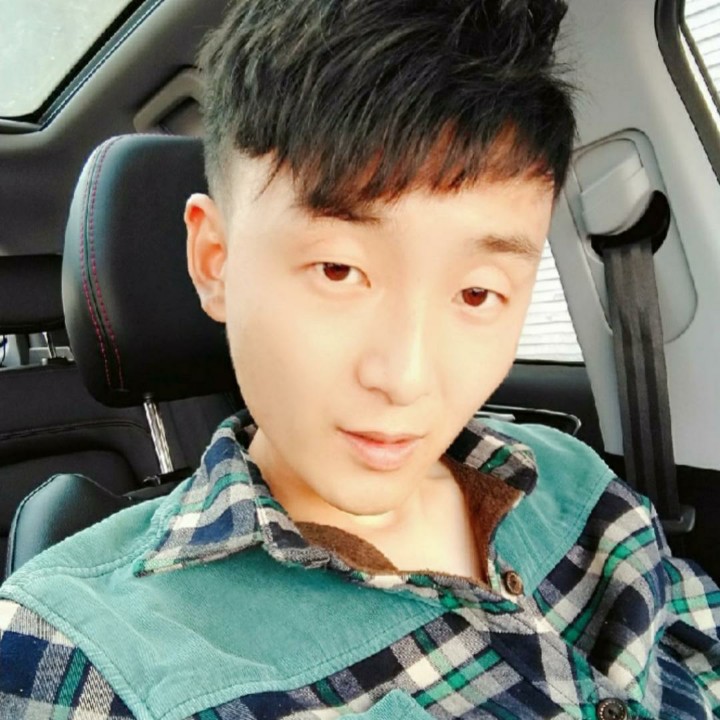 向日葵扯难过的照片