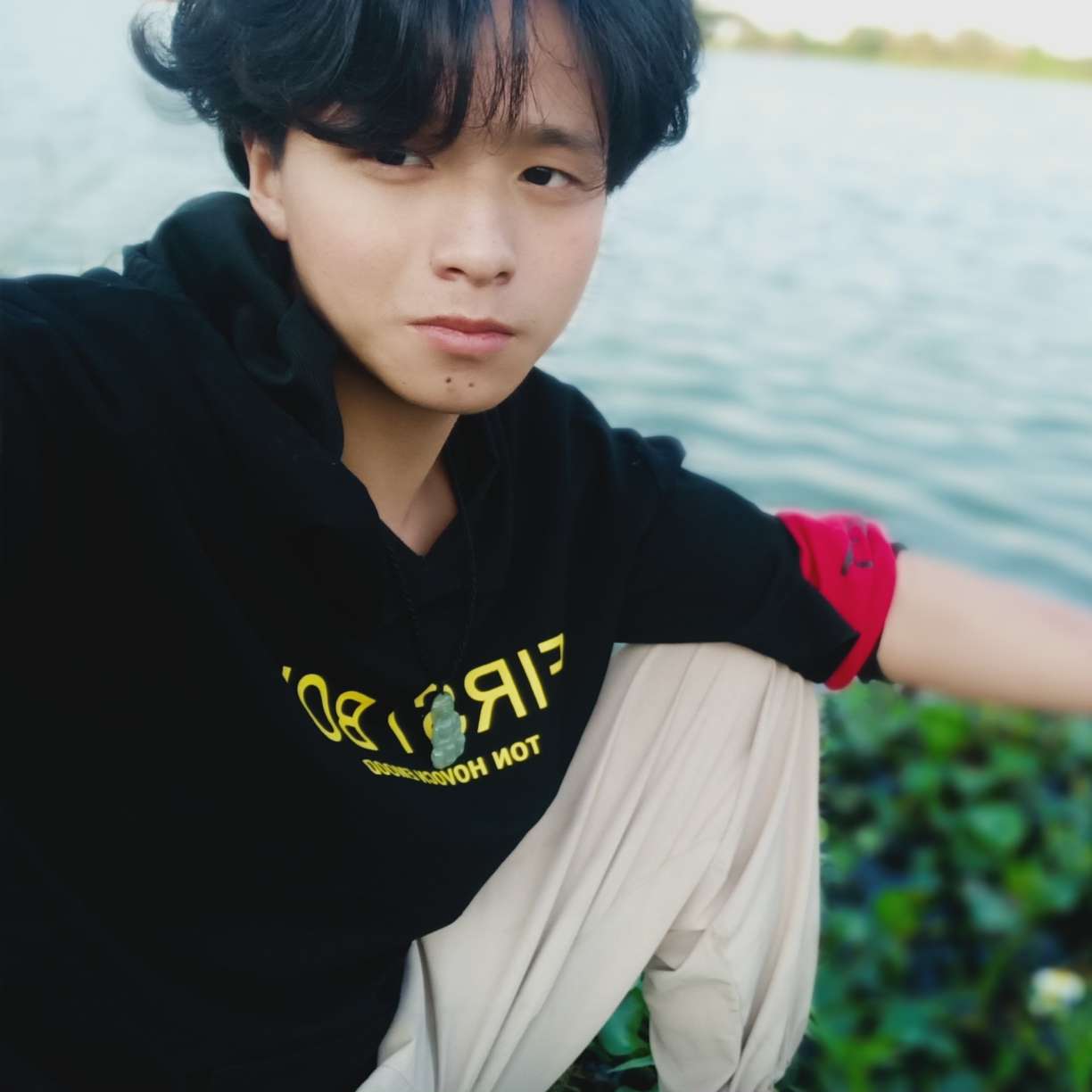 可乐向现代的照片