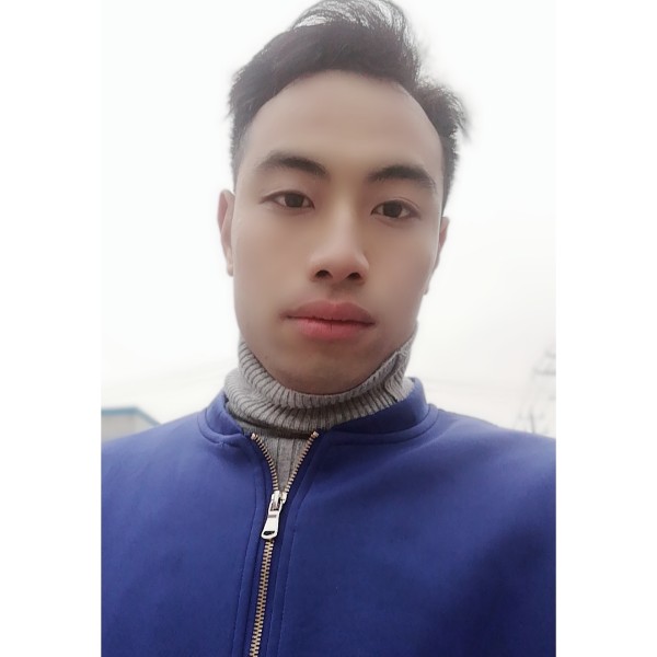 欢呼大象的照片