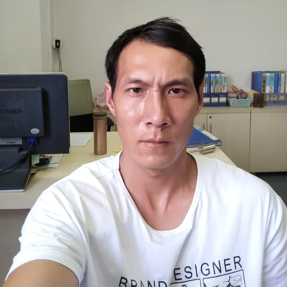 知性向日葵的照片