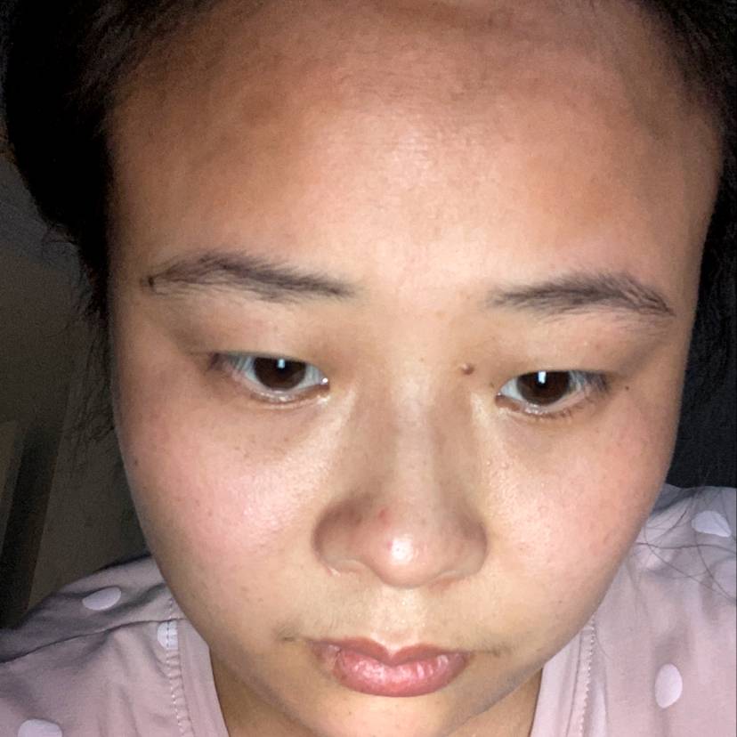 苦丁的香的照片