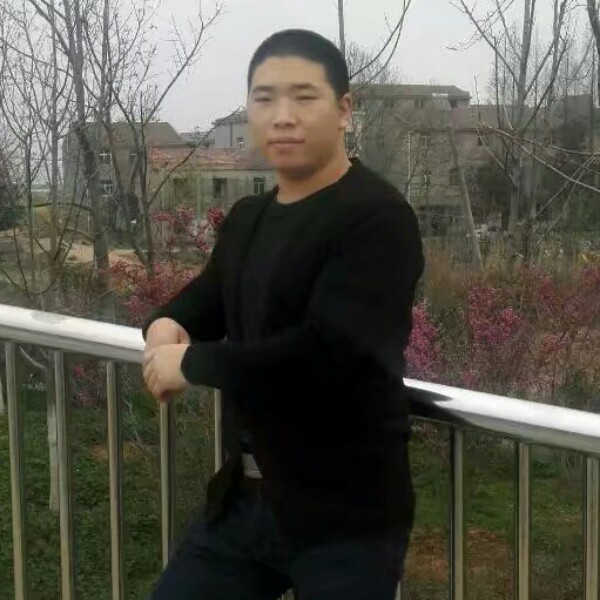完美的仙人球的照片