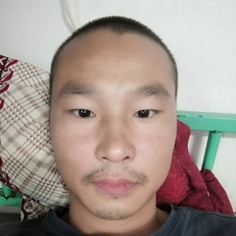 胡萝卜纯情的照片