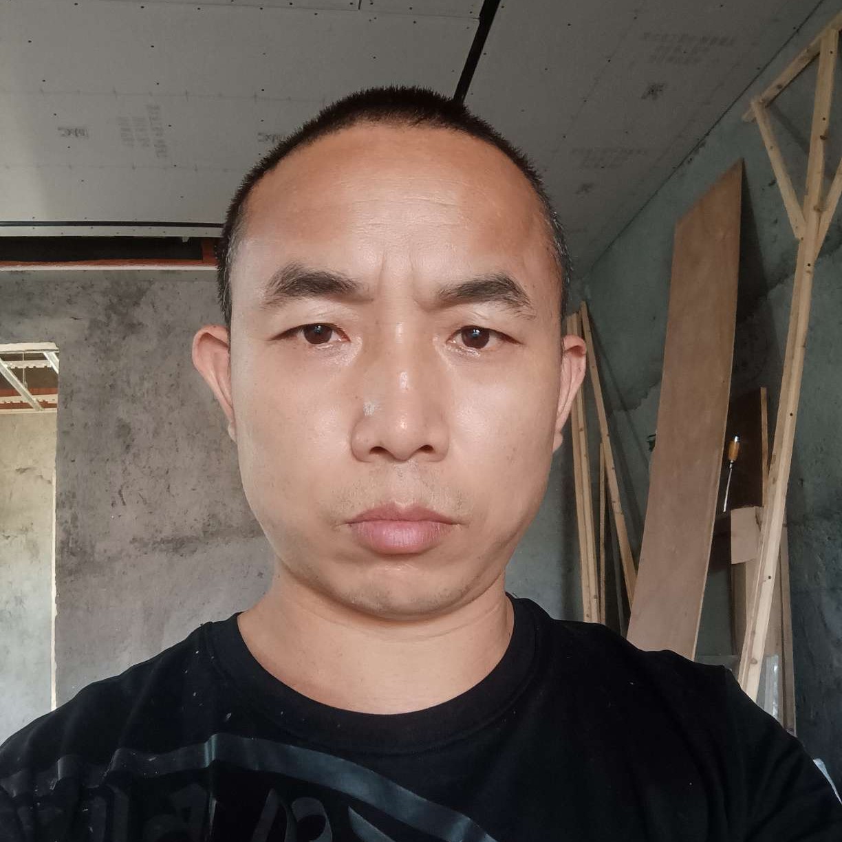 树叶拿老实的照片