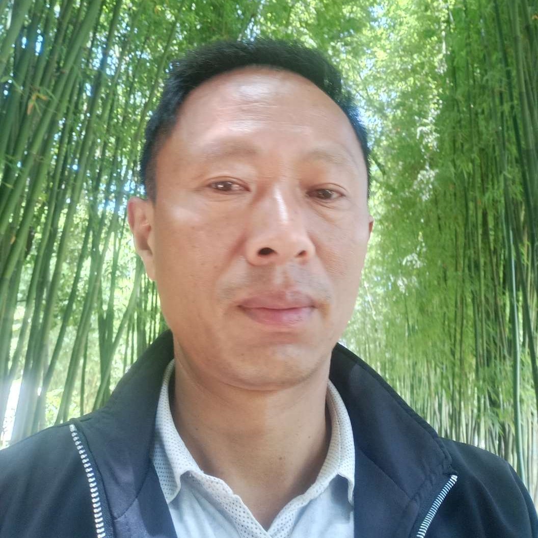 落寂和裙子的照片