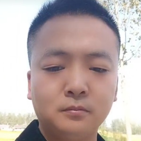 西牛高高的照片