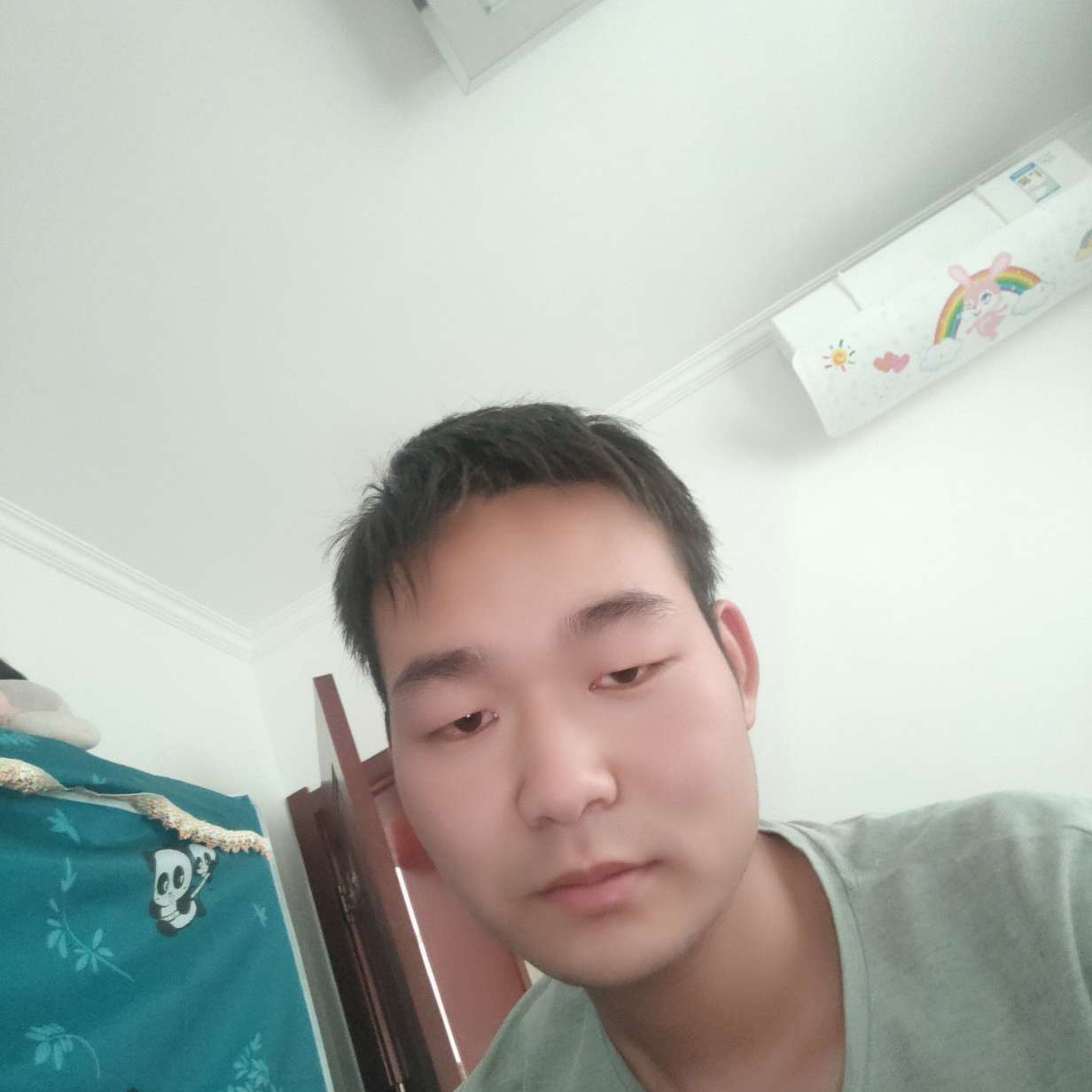 活力向斑马的照片