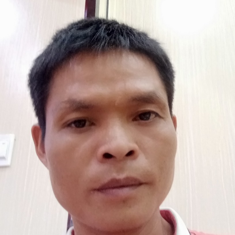 老实给飞鸟的照片