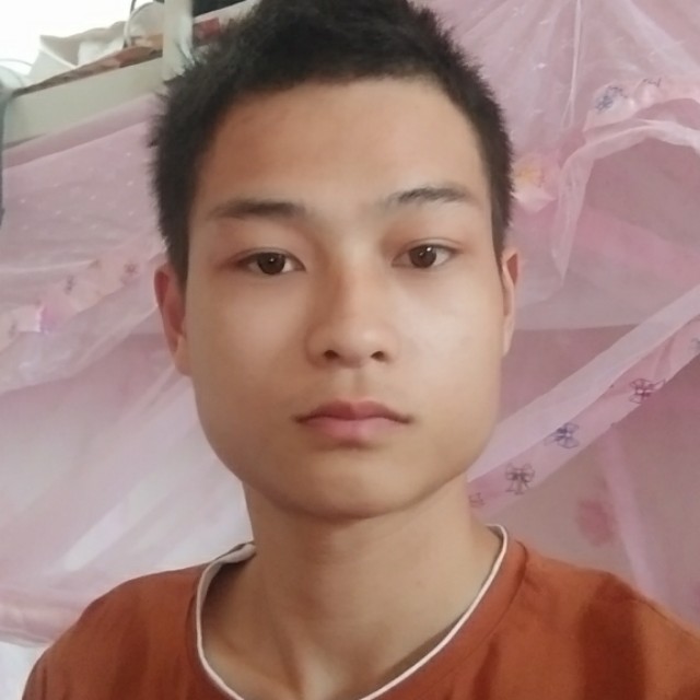 自行车華麗的照片