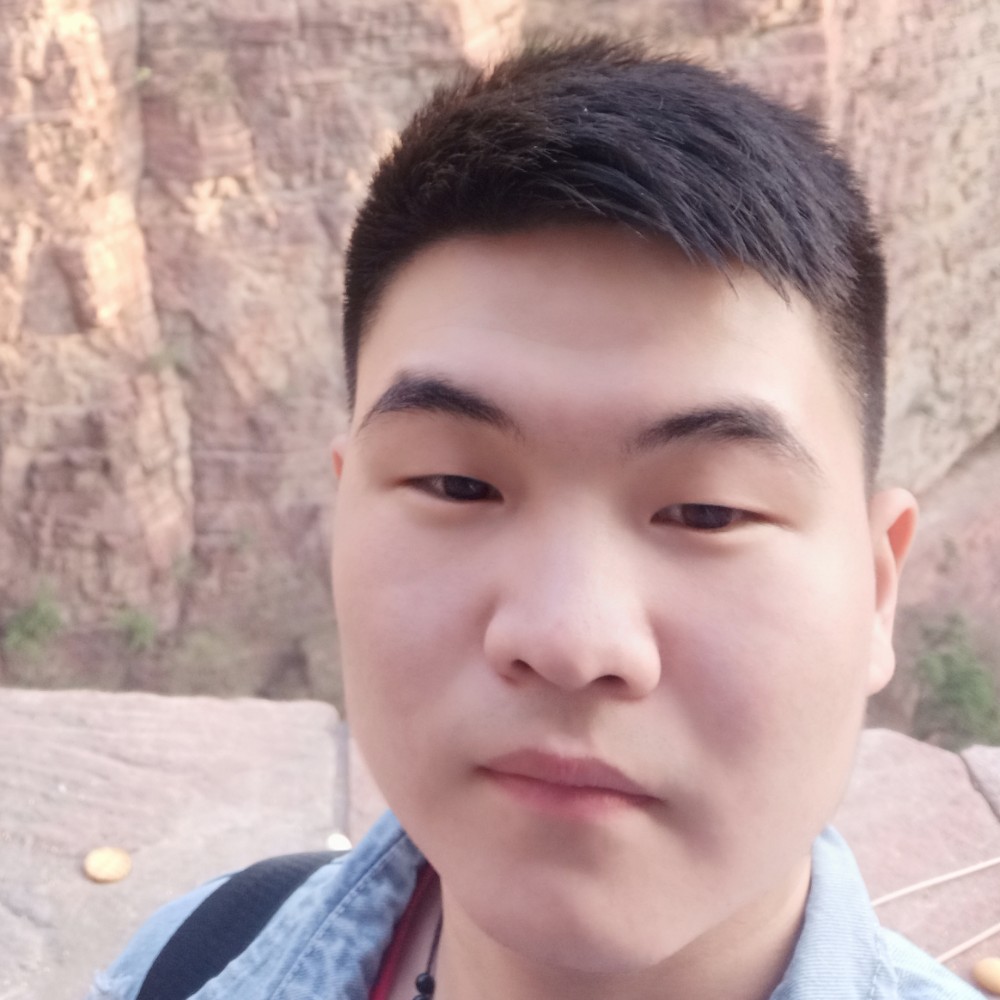 小猫咪精明的照片