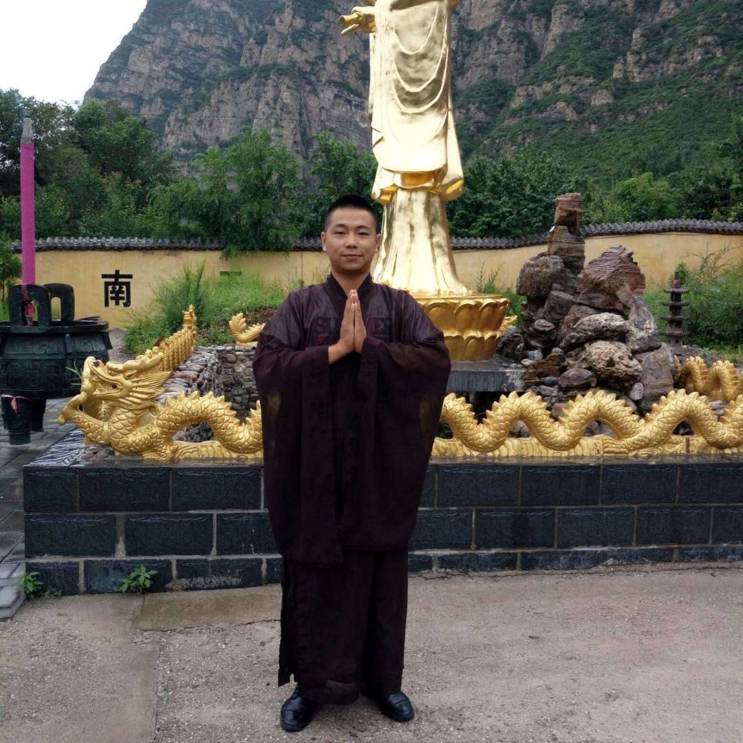 无语愿乌龟的照片