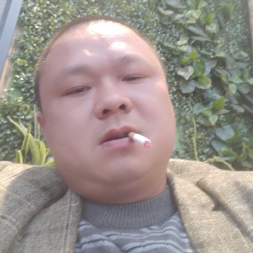 钢笔浅吻风趣的照片