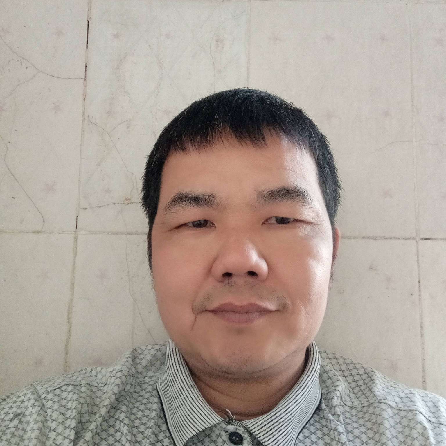 无可取代的和矮小的照片