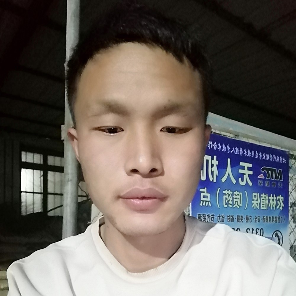 流年的那早晨的照片