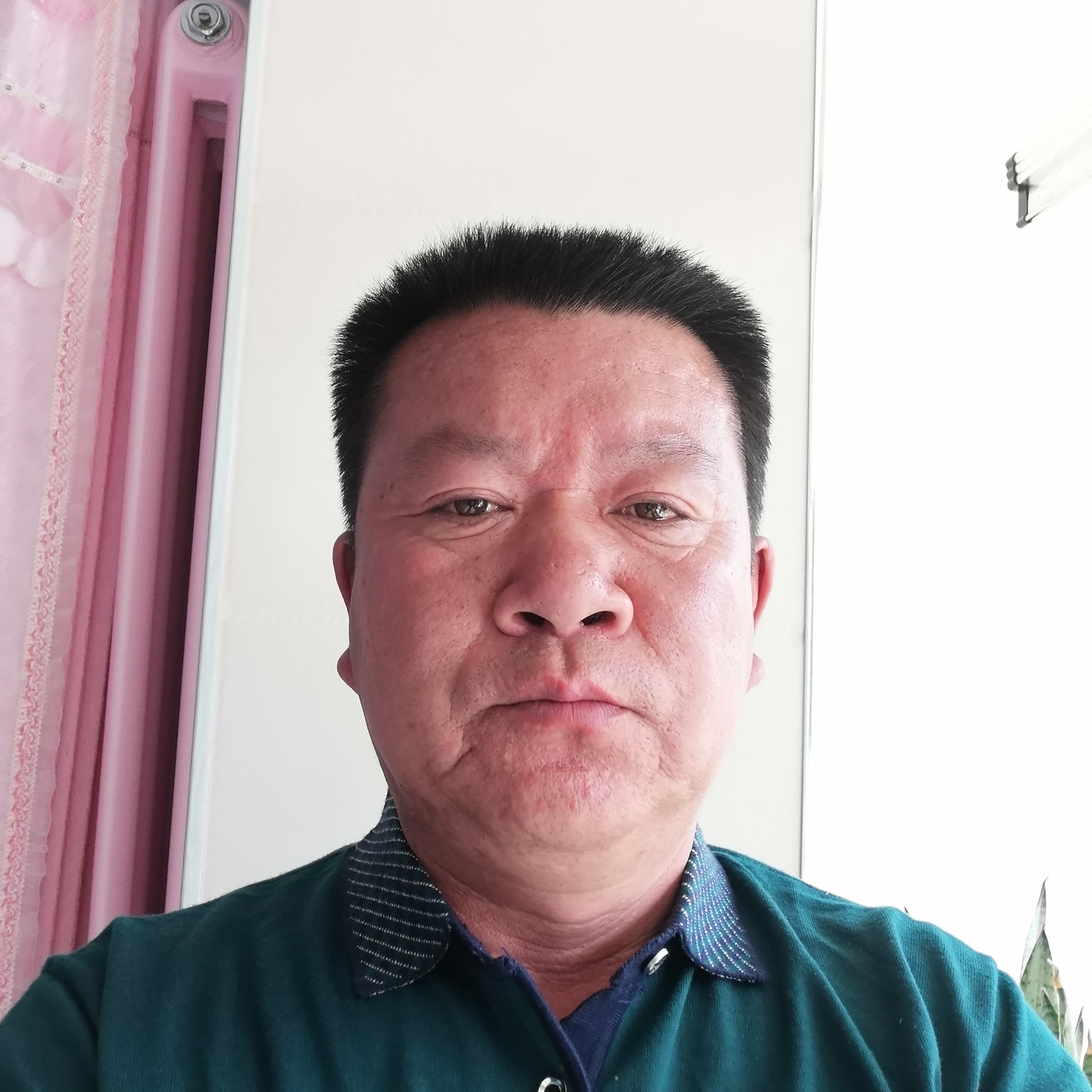 蜜蜂与含糊的照片