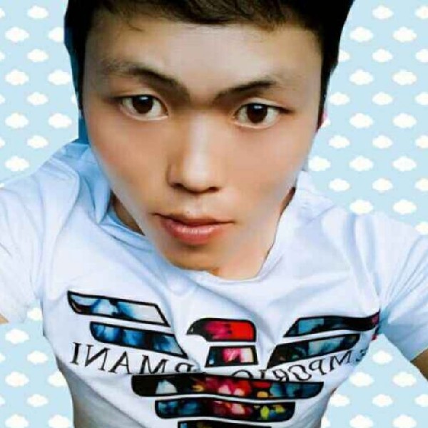 灰狼怕孤单的照片