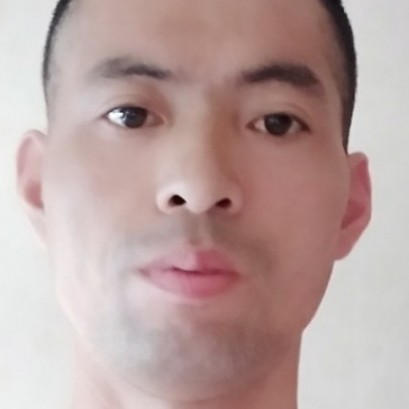 无锡市宜兴小猫咪的照片