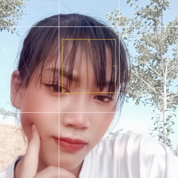 空白杨——王的照片