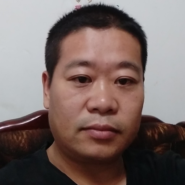 开朗的树叶的照片