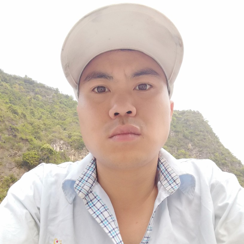 强健相许长颈鹿的照片