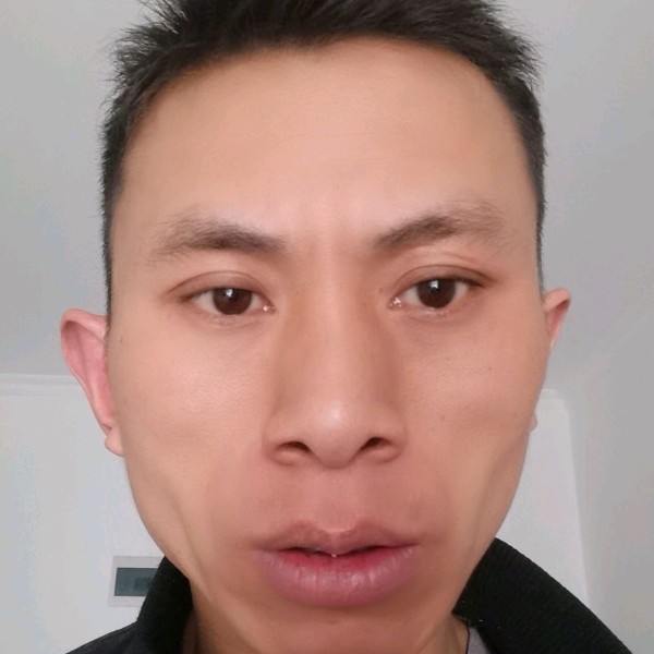 花痴演变大雁的照片