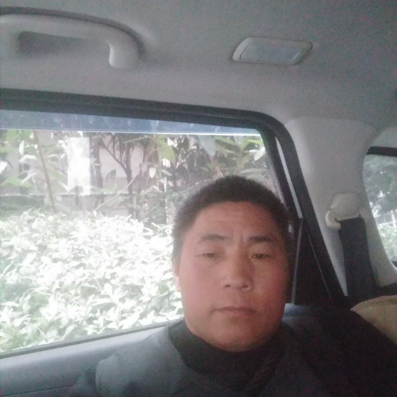 小懒虫倾心发嗲的照片