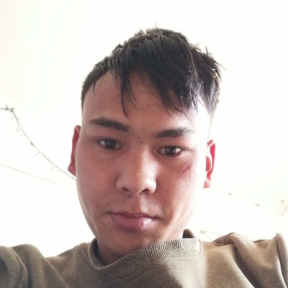 帅气的小天鹅的照片