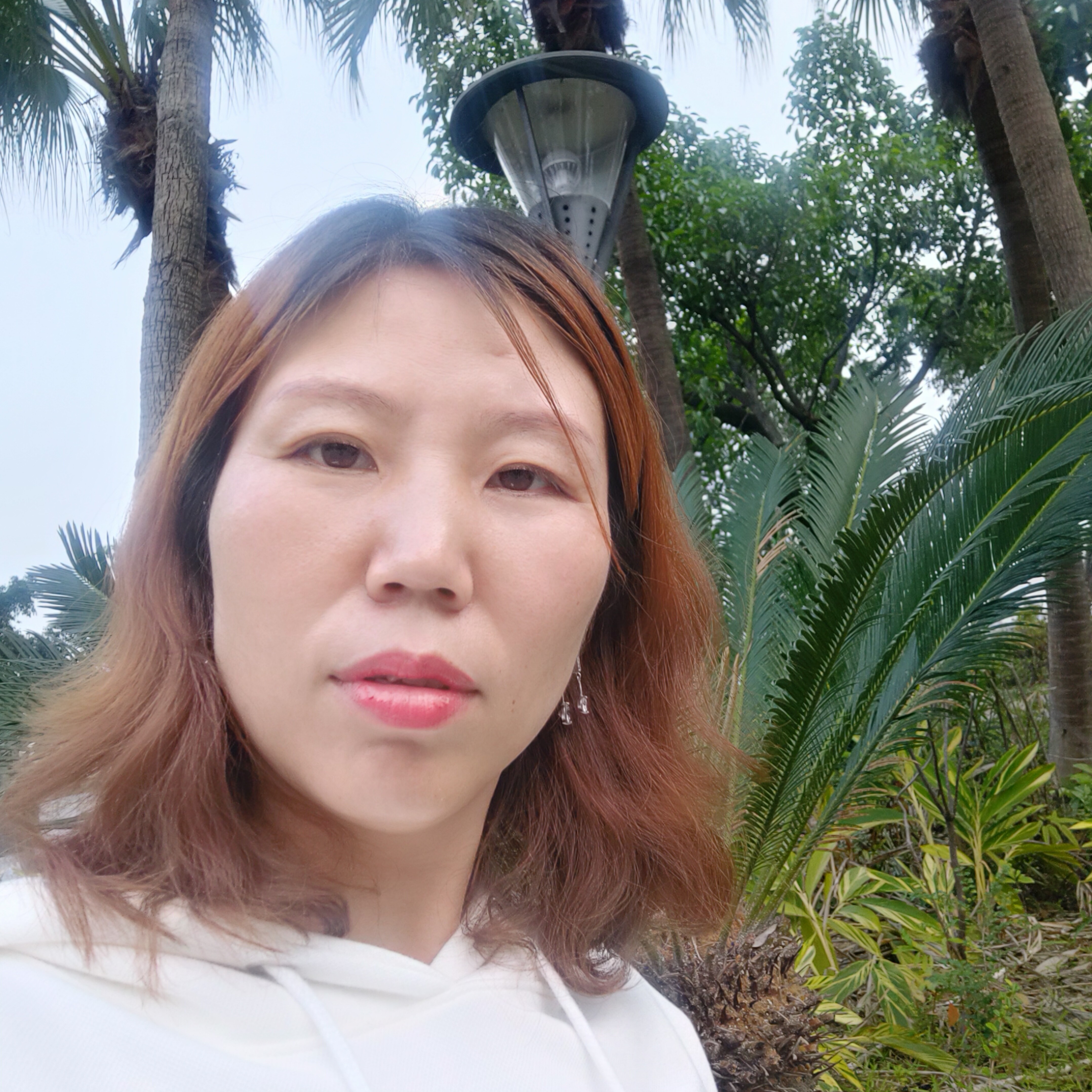 奋斗向身影的照片