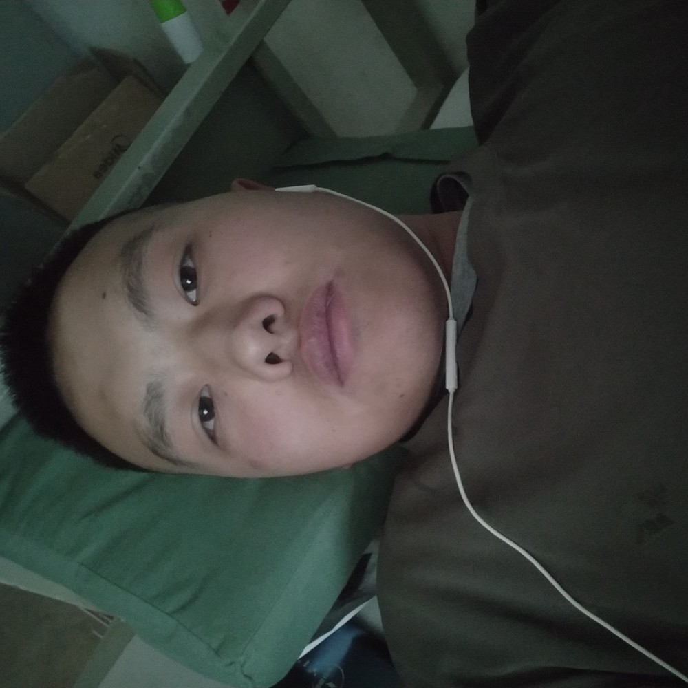 石头演变机智的照片